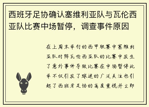 西班牙足协确认塞维利亚队与瓦伦西亚队比赛中场暂停，调查事件原因