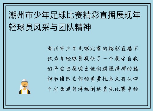 潮州市少年足球比赛精彩直播展现年轻球员风采与团队精神